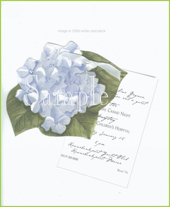Hydrangea w/white ribbon tag
